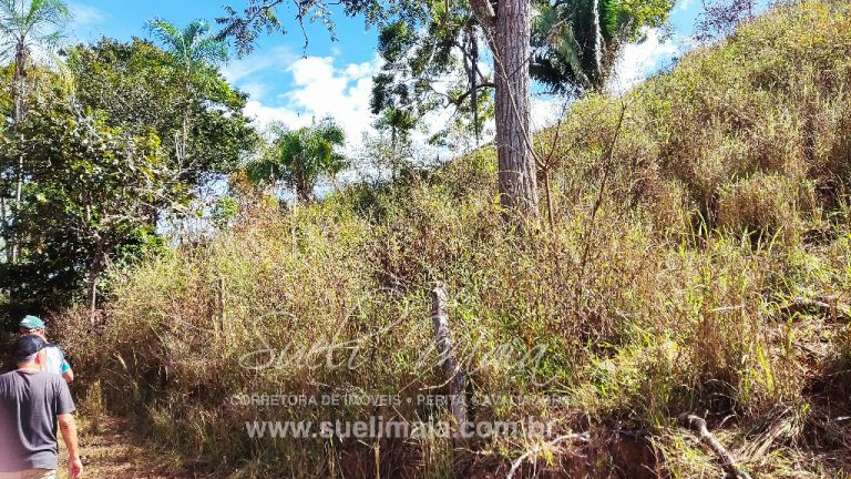 Sítio de 10 alq. – Às margens do Ribeirão Lajeado – Minaçu