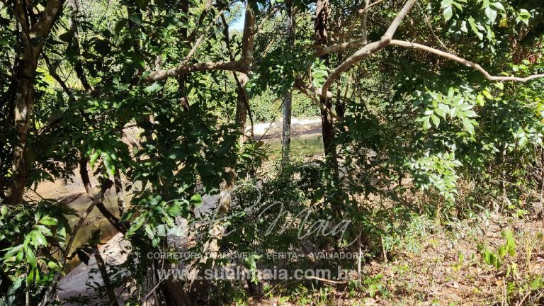 Sítio de 10 alq. – Às margens do Ribeirão Lajeado – Minaçu