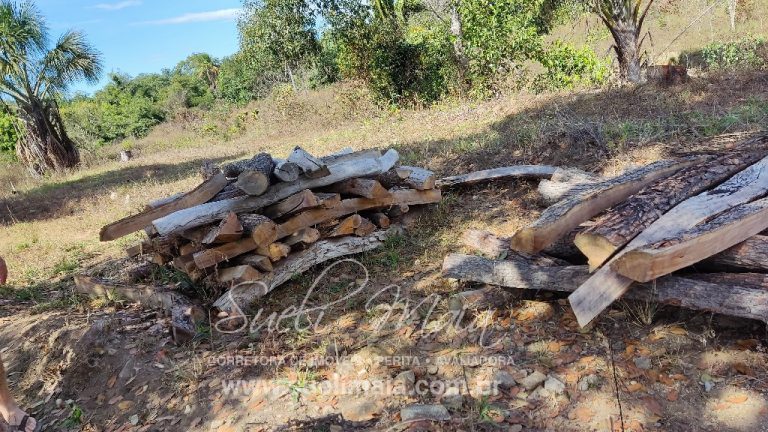 Sítio de 10 alq. – Às margens do Ribeirão Lajeado – Minaçu