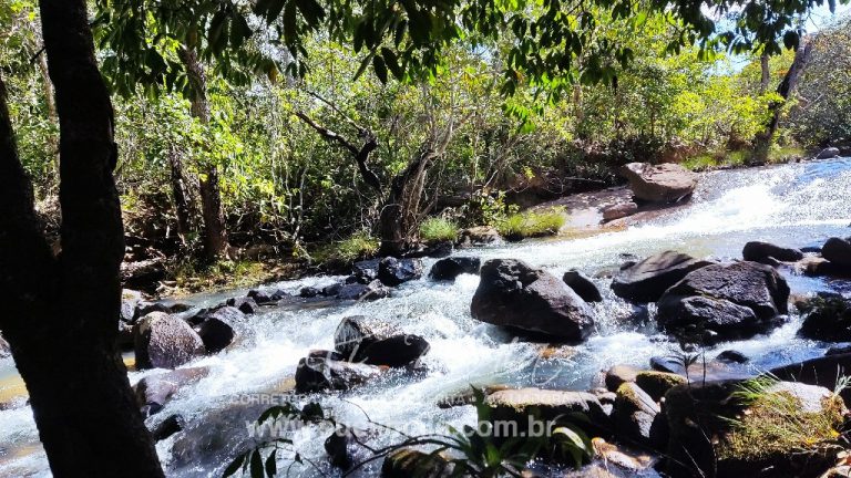 Sítio de 10 alq. – Às margens do Ribeirão Lajeado – Minaçu