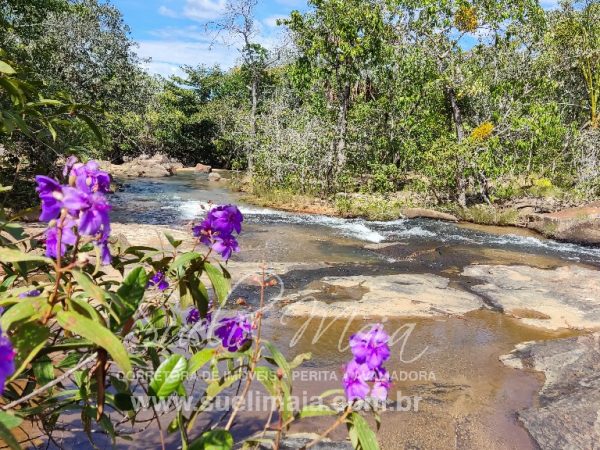 Sítio de 10 alq. – Às margens do Ribeirão Lajeado – Minaçu