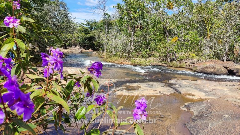 Sítio de 10 alq. – Às margens do Ribeirão Lajeado – Minaçu