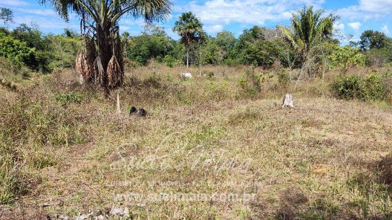 Sítio de 10 alq. – Às margens do Ribeirão Lajeado – Minaçu
