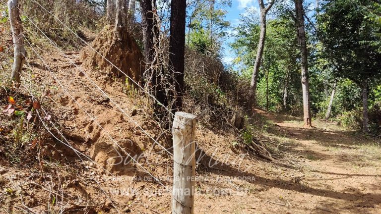 Sítio de 10 alq. – Às margens do Ribeirão Lajeado – Minaçu