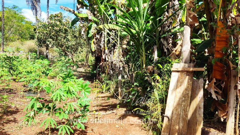 Sítio de 10 alq. – Às margens do Ribeirão Lajeado – Minaçu