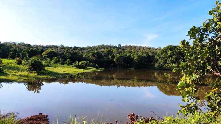 SÍTIO DE 13 ALQ. – A 4 KM DE MINAÇU/GO
