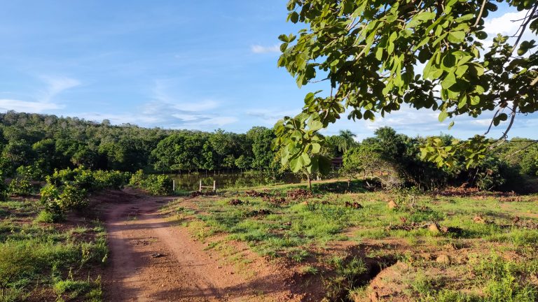 SÍTIO DE 13 ALQ. – A 4 KM DE MINAÇU/GO
