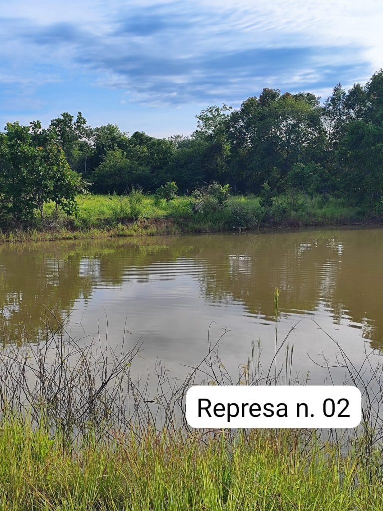 SÍTIO DE 13 ALQ. – A 4 KM DE MINAÇU/GO