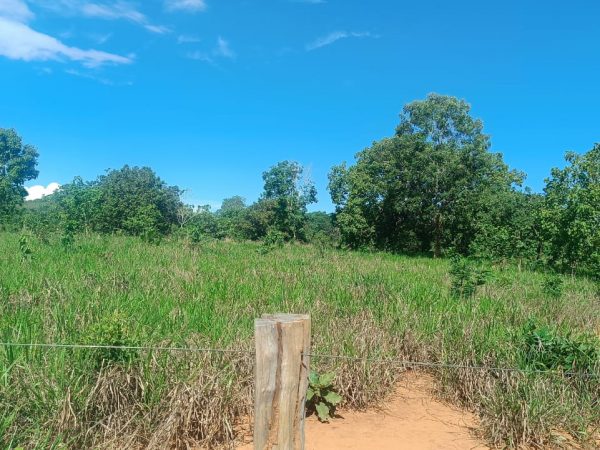 Sítio de 5,25 alq.  p/ pecuária e lavoura – Escriturado