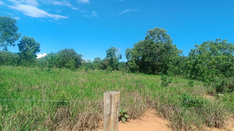 Sítio de 5,25 alq.  p/ pecuária e lavoura – Escriturado