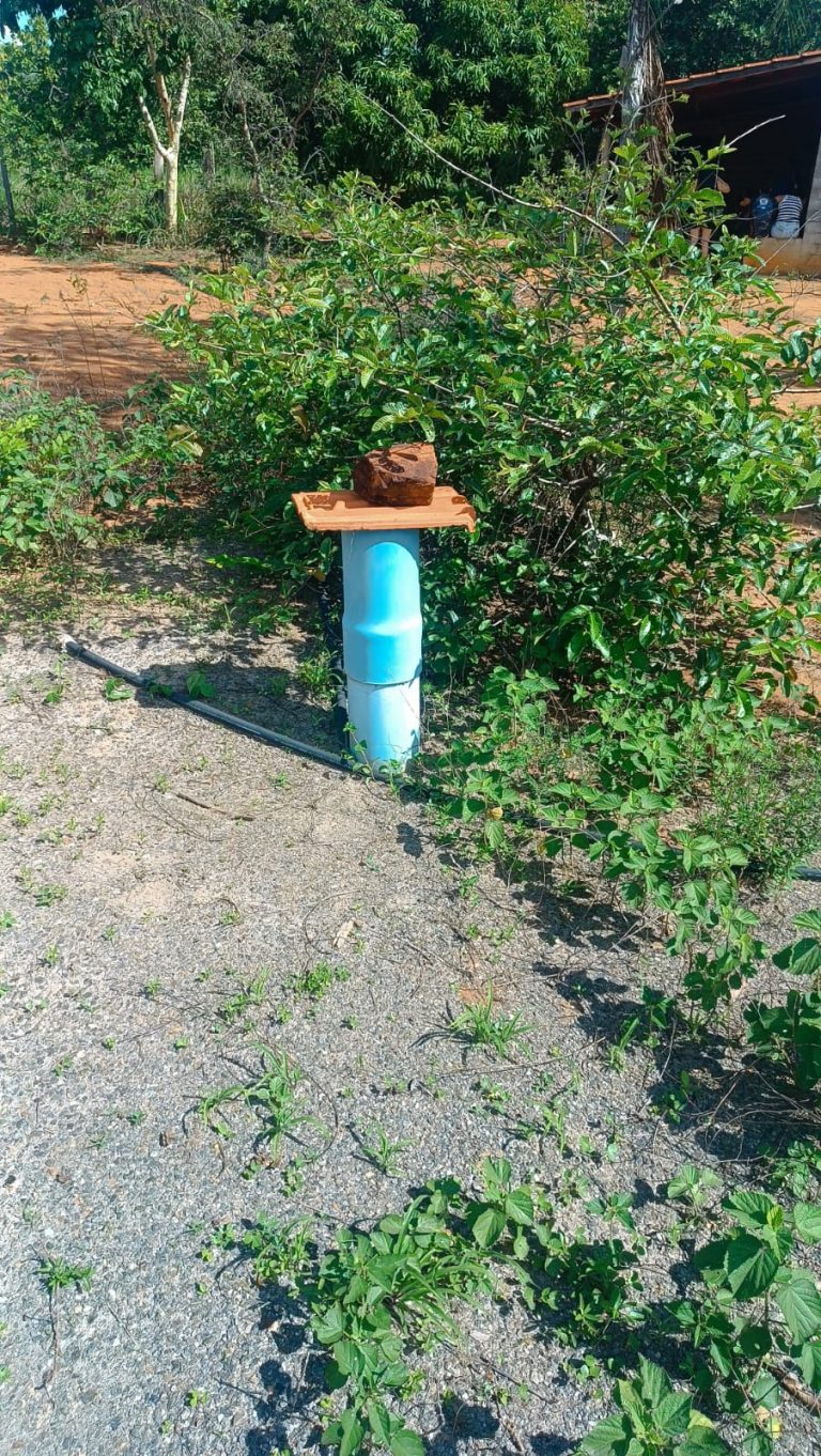 Sítio de 5,25 alq.  p/ pecuária e lavoura – Escriturado