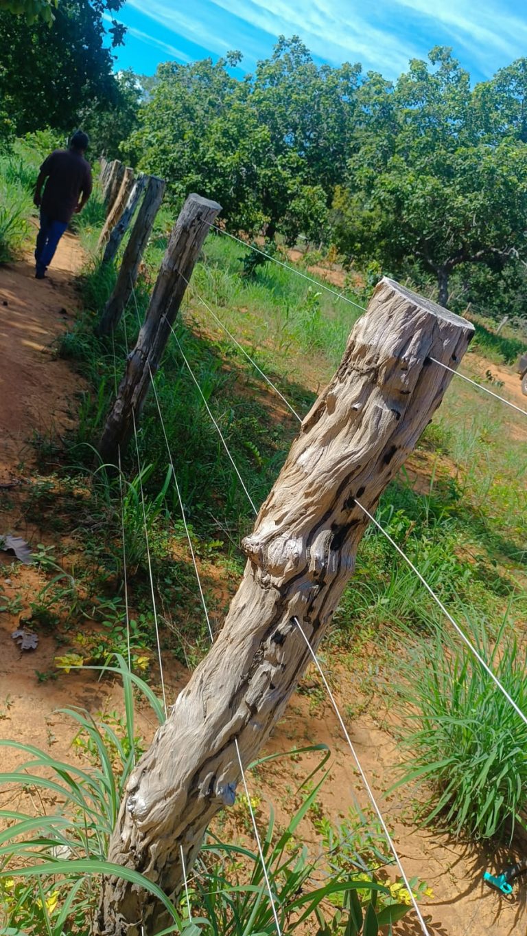 Sítio de 5,25 alq.  p/ pecuária e lavoura – Escriturado