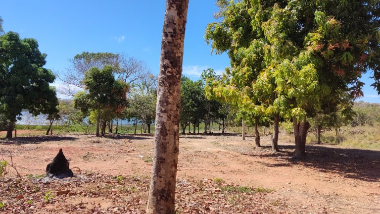 TERRENO 1200m² NA ÁREA URBANA – BEIRA LAGO – NO ASFALTO TERRENO 1200m² NA ÁREA URBANA – BEIRA LAGO – NO ASFALTO