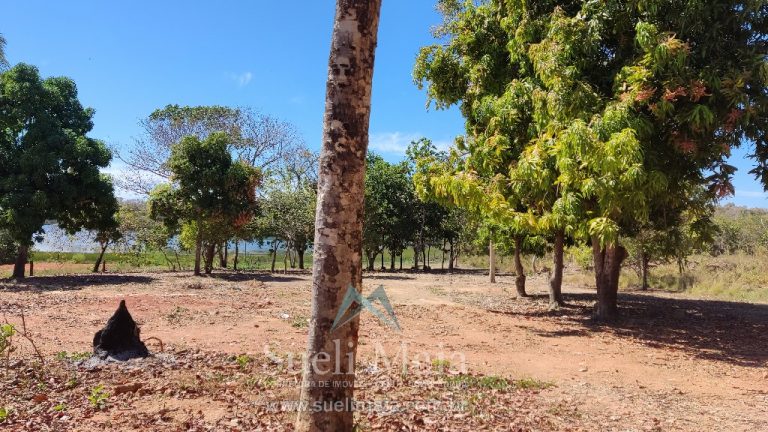 TERRENO 1200m² NA ÁREA URBANA – BEIRA LAGO – NO ASFALTO TERRENO 1200m² NA ÁREA URBANA – BEIRA LAGO – NO ASFALTO