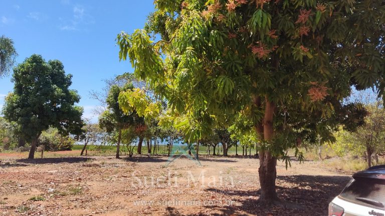 TERRENO 1200m² NA ÁREA URBANA – BEIRA LAGO – NO ASFALTO TERRENO 1200m² NA ÁREA URBANA – BEIRA LAGO – NO ASFALTO