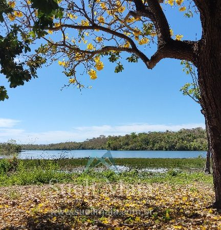 TERRENO 1200m² NA ÁREA URBANA –  BEIRA LAGO – NO ASFALTO