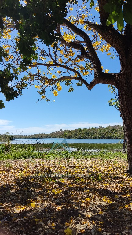 TERRENO 1200m² NA ÁREA URBANA – BEIRA LAGO – NO ASFALTO TERRENO 1200m² NA ÁREA URBANA – BEIRA LAGO – NO ASFALTO