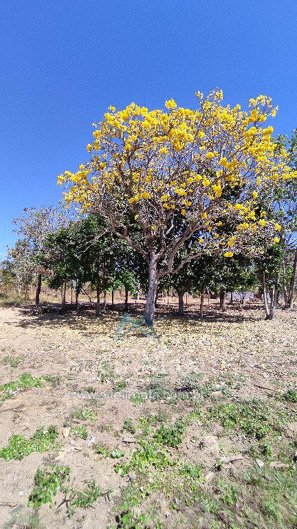 TERRENO 1200m² NA ÁREA URBANA – BEIRA LAGO – NO ASFALTO TERRENO 1200m² NA ÁREA URBANA – BEIRA LAGO – NO ASFALTO
