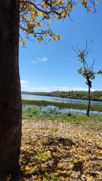 TERRENO 1200m² NA ÁREA URBANA – BEIRA LAGO – NO ASFALTO TERRENO 1200m² NA ÁREA URBANA – BEIRA LAGO – NO ASFALTO