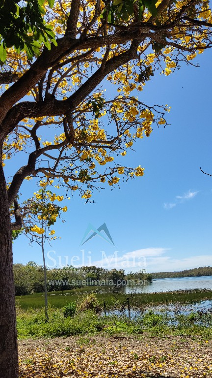 TERRENO 1200m² NA ÁREA URBANA – BEIRA LAGO – NO ASFALTO TERRENO 1200m² NA ÁREA URBANA – BEIRA LAGO – NO ASFALTO