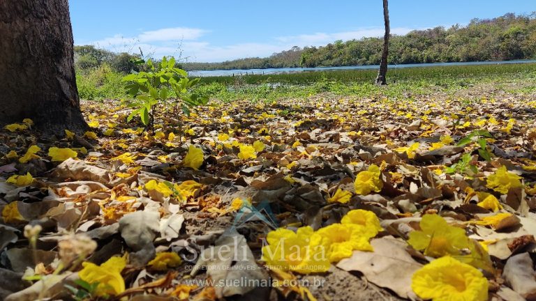 TERRENO 1200m² NA ÁREA URBANA – BEIRA LAGO – NO ASFALTO TERRENO 1200m² NA ÁREA URBANA – BEIRA LAGO – NO ASFALTO