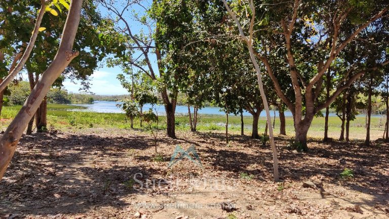TERRENO 1200m² NA ÁREA URBANA – BEIRA LAGO – NO ASFALTO TERRENO 1200m² NA ÁREA URBANA – BEIRA LAGO – NO ASFALTO