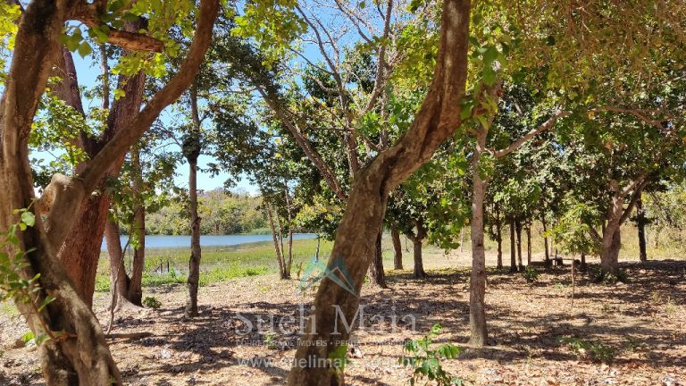 TERRENO 1200m² NA ÁREA URBANA – BEIRA LAGO – NO ASFALTO TERRENO 1200m² NA ÁREA URBANA – BEIRA LAGO – NO ASFALTO