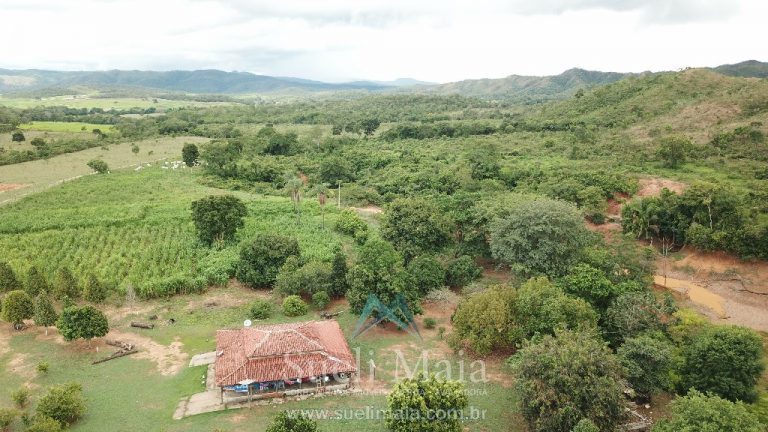 FAZENDA 66,5 ALQ PERTINHO DO ASFALTO – MINAÇU/GO FAZENDA 66,5 ALQ PERTINHO DO ASFALTO – MINAÇU/GO