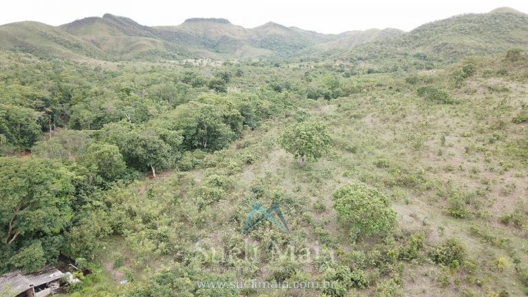 FAZENDA 66,5 ALQ PERTINHO DO ASFALTO – MINAÇU/GO FAZENDA 66,5 ALQ PERTINHO DO ASFALTO – MINAÇU/GO