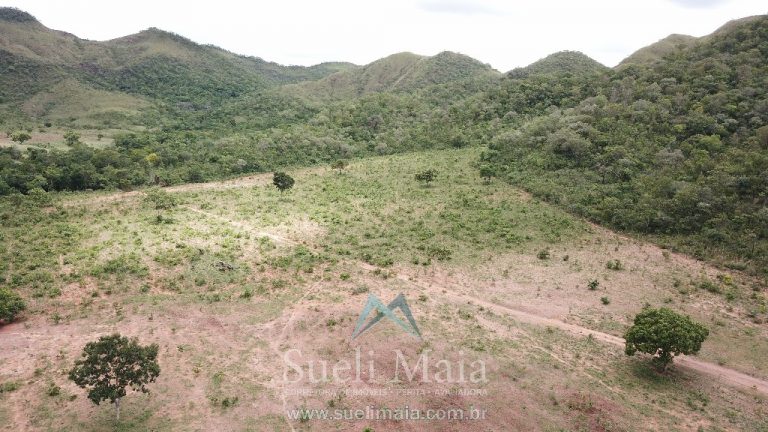 FAZENDA 66,5 ALQ PERTINHO DO ASFALTO – MINAÇU/GO FAZENDA 66,5 ALQ PERTINHO DO ASFALTO – MINAÇU/GO