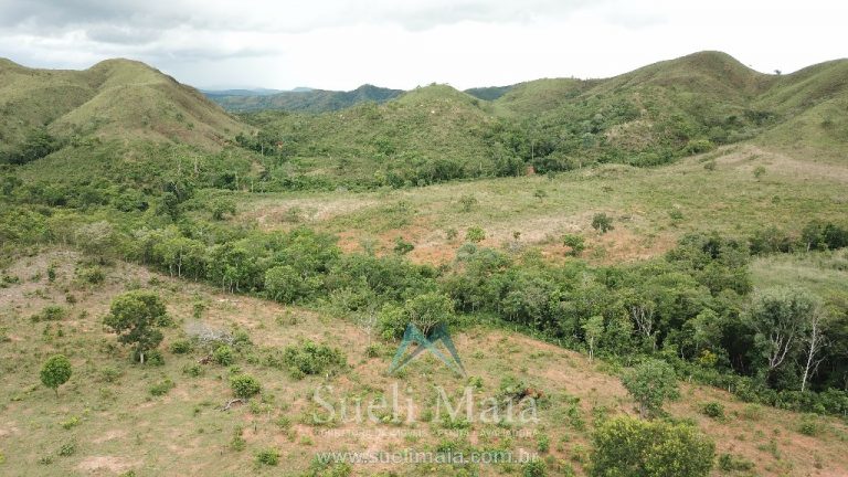 FAZENDA 66,5 ALQ PERTINHO DO ASFALTO – MINAÇU/GO FAZENDA 66,5 ALQ PERTINHO DO ASFALTO – MINAÇU/GO