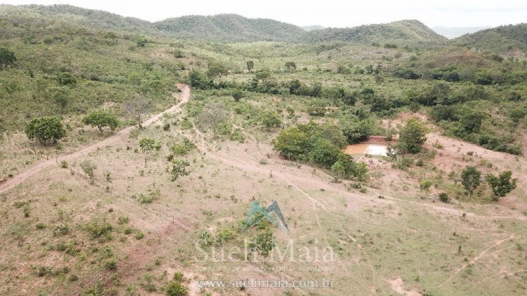 FAZENDA 66,5 ALQ PERTINHO DO ASFALTO – MINAÇU/GO FAZENDA 66,5 ALQ PERTINHO DO ASFALTO – MINAÇU/GO