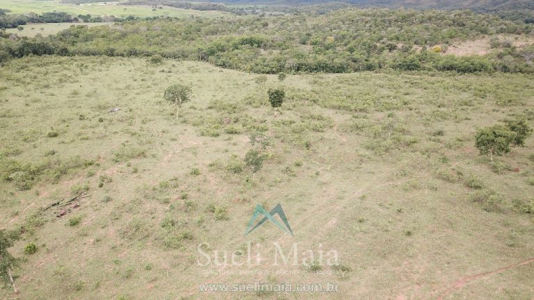 FAZENDA 66,5 ALQ PERTINHO DO ASFALTO – MINAÇU/GO FAZENDA 66,5 ALQ PERTINHO DO ASFALTO – MINAÇU/GO
