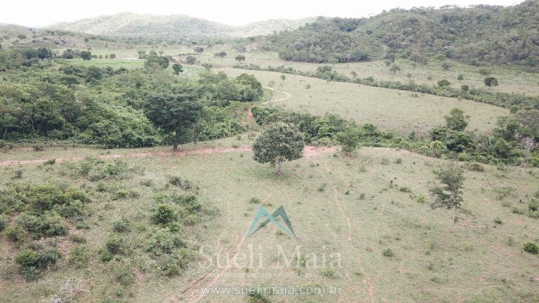 FAZENDA 66,5 ALQ PERTINHO DO ASFALTO – MINAÇU/GO FAZENDA 66,5 ALQ PERTINHO DO ASFALTO – MINAÇU/GO