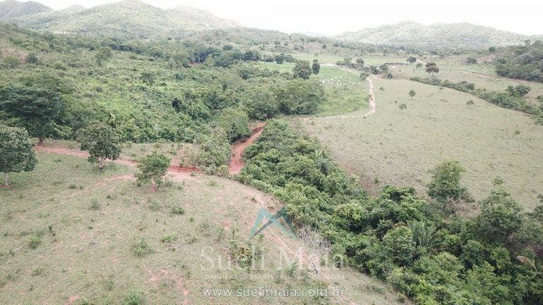 FAZENDA 66,5 ALQ PERTINHO DO ASFALTO – MINAÇU/GO FAZENDA 66,5 ALQ PERTINHO DO ASFALTO – MINAÇU/GO