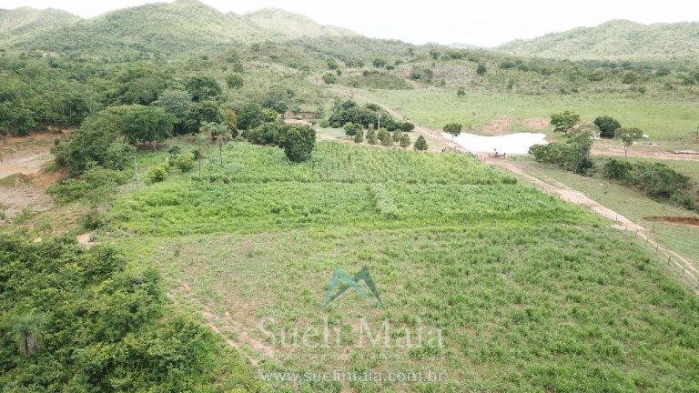 FAZENDA 66,5 ALQ PERTINHO DO ASFALTO – MINAÇU/GO FAZENDA 66,5 ALQ PERTINHO DO ASFALTO – MINAÇU/GO