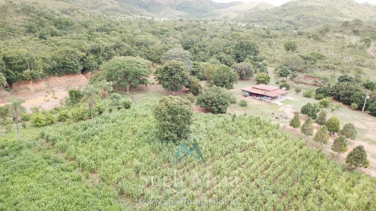 FAZENDA 66,5 ALQ PERTINHO DO ASFALTO – MINAÇU/GO FAZENDA 66,5 ALQ PERTINHO DO ASFALTO – MINAÇU/GO