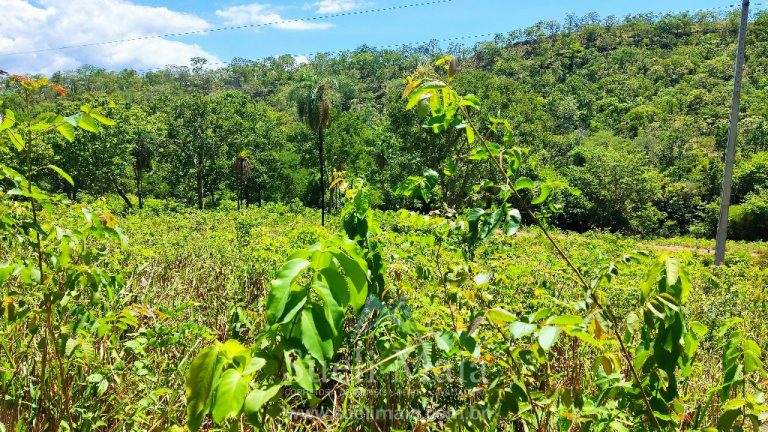 FAZENDA 66,5 ALQ PERTINHO DO ASFALTO – MINAÇU/GO FAZENDA 66,5 ALQ PERTINHO DO ASFALTO – MINAÇU/GO