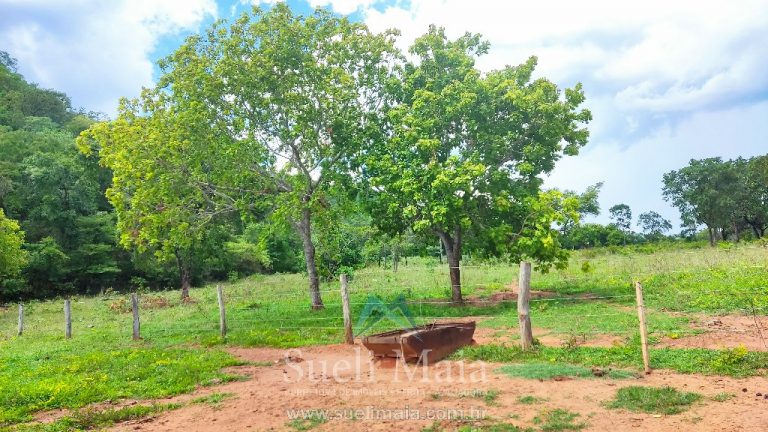 FAZENDA 66,5 ALQ PERTINHO DO ASFALTO – MINAÇU/GO FAZENDA 66,5 ALQ PERTINHO DO ASFALTO – MINAÇU/GO
