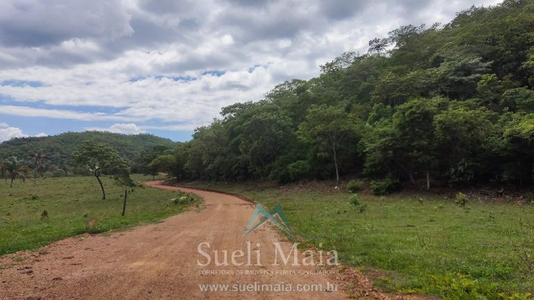 FAZENDA 66,5 ALQ PERTINHO DO ASFALTO – MINAÇU/GO FAZENDA 66,5 ALQ PERTINHO DO ASFALTO – MINAÇU/GO