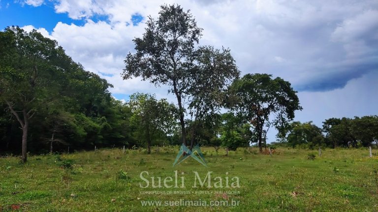FAZENDA 66,5 ALQ PERTINHO DO ASFALTO – MINAÇU/GO FAZENDA 66,5 ALQ PERTINHO DO ASFALTO – MINAÇU/GO