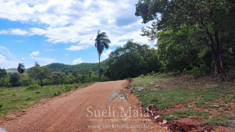FAZENDA 66,5 ALQ PERTINHO DO ASFALTO – MINAÇU/GO FAZENDA 66,5 ALQ PERTINHO DO ASFALTO – MINAÇU/GO