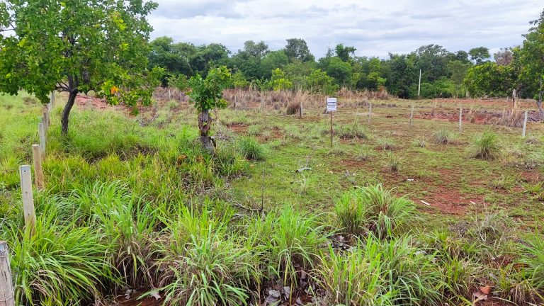 Terreno na entrada da Praia do Sol – 650m²