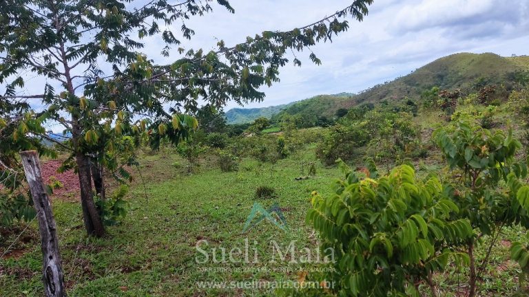 FAZENDA 66,5 ALQ PERTINHO DO ASFALTO – MINAÇU/GO FAZENDA 66,5 ALQ PERTINHO DO ASFALTO – MINAÇU/GO