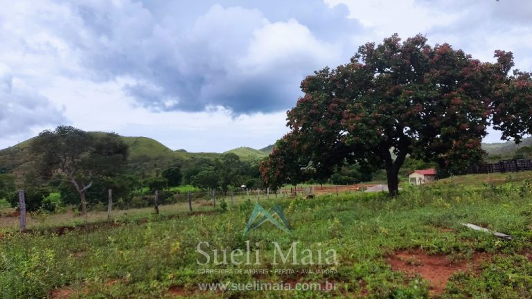 FAZENDA 66,5 ALQ PERTINHO DO ASFALTO – MINAÇU/GO FAZENDA 66,5 ALQ PERTINHO DO ASFALTO – MINAÇU/GO
