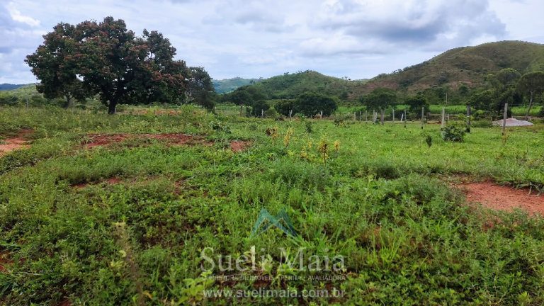 FAZENDA 66,5 ALQ PERTINHO DO ASFALTO – MINAÇU/GO FAZENDA 66,5 ALQ PERTINHO DO ASFALTO – MINAÇU/GO