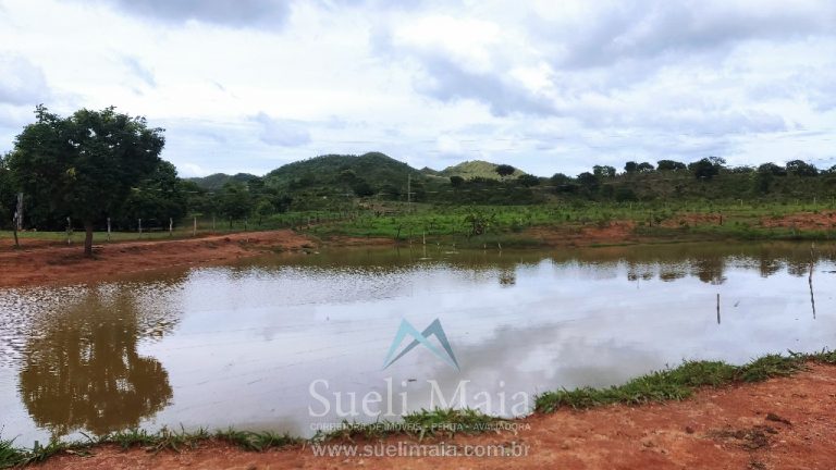 FAZENDA 66,5 ALQ PERTINHO DO ASFALTO – MINAÇU/GO FAZENDA 66,5 ALQ PERTINHO DO ASFALTO – MINAÇU/GO