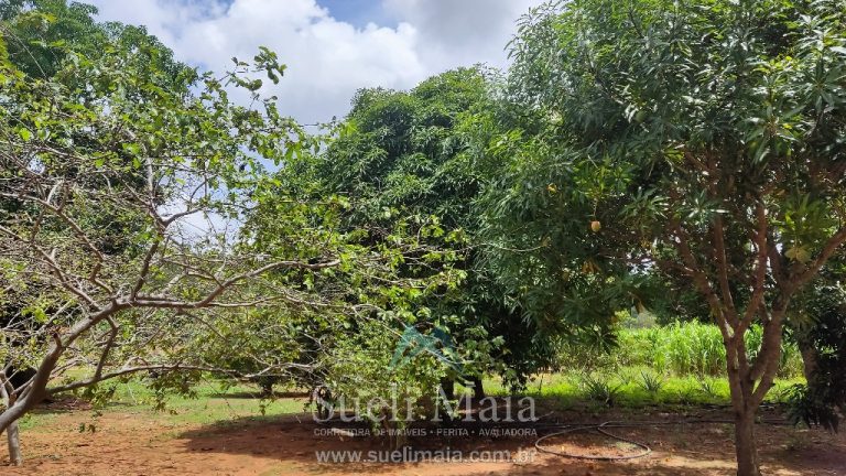 FAZENDA 66,5 ALQ PERTINHO DO ASFALTO – MINAÇU/GO FAZENDA 66,5 ALQ PERTINHO DO ASFALTO – MINAÇU/GO