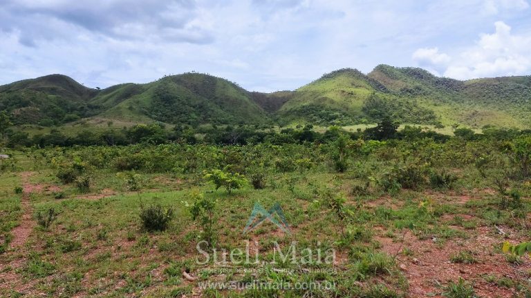 FAZENDA 66,5 ALQ PERTINHO DO ASFALTO – MINAÇU/GO FAZENDA 66,5 ALQ PERTINHO DO ASFALTO – MINAÇU/GO