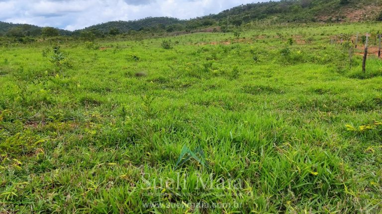 FAZENDA 66,5 ALQ PERTINHO DO ASFALTO – MINAÇU/GO FAZENDA 66,5 ALQ PERTINHO DO ASFALTO – MINAÇU/GO